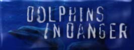 Dolphins in Danger